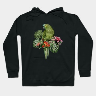 Hand drawn Watercolor of Blue fronted Parrot. Hoodie